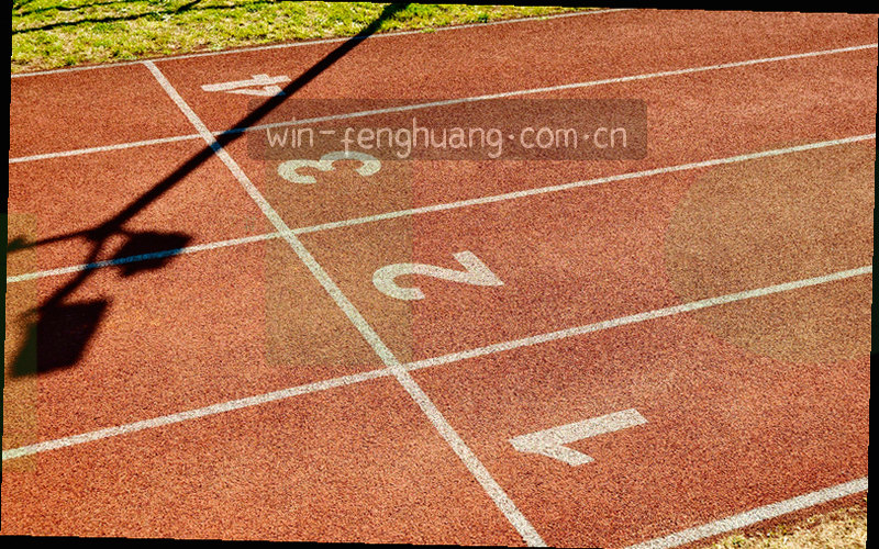 多联赛数据切换记录的可视化图